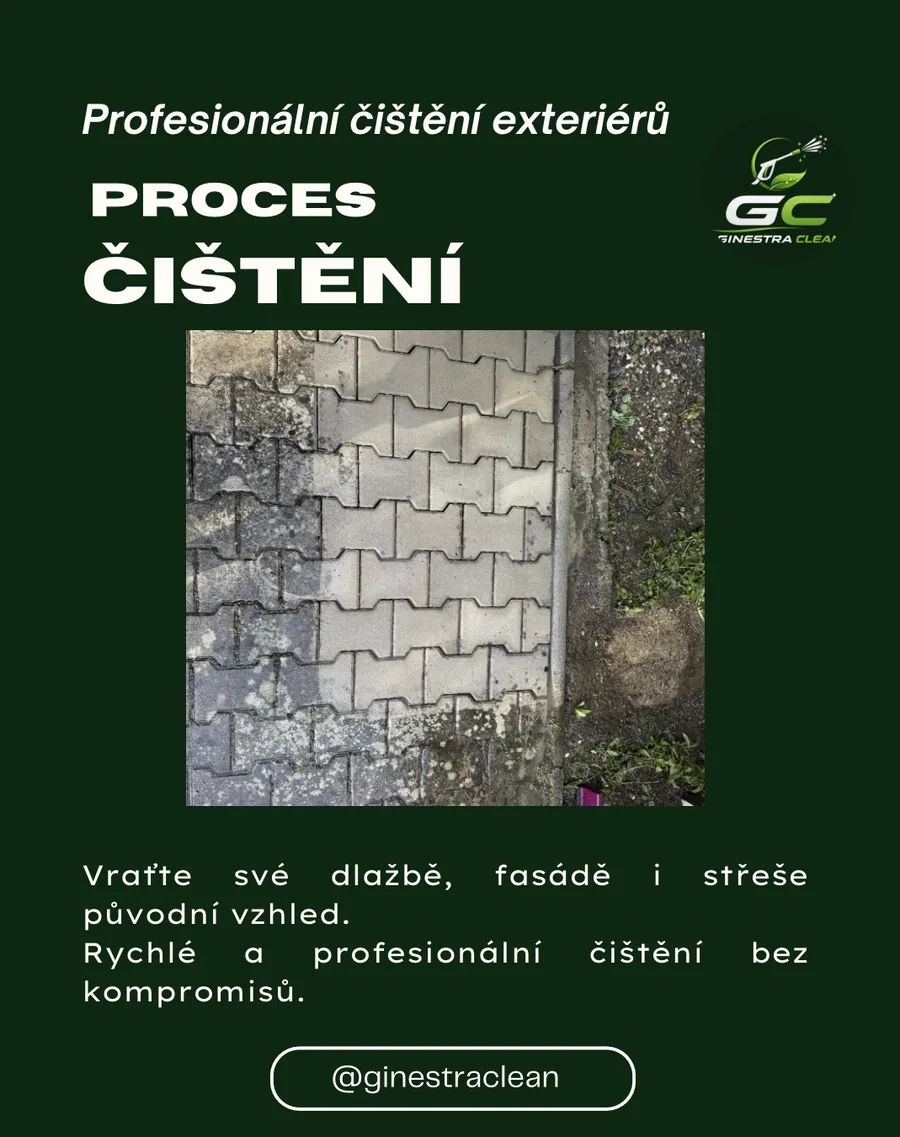 Hloubkové čištění zámkové dlažby — odstranění mechu, plevele a zašlé špíny.