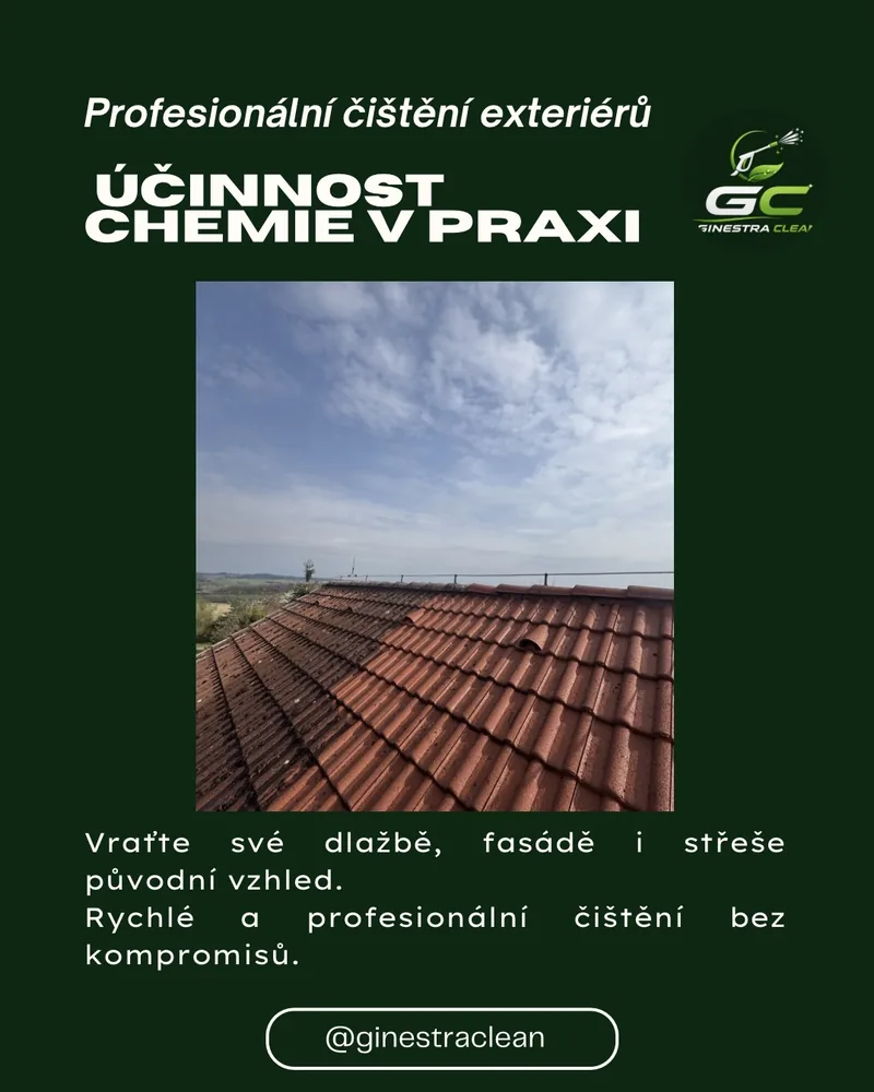 Účinnost profesionální chemie při čištění střechy
