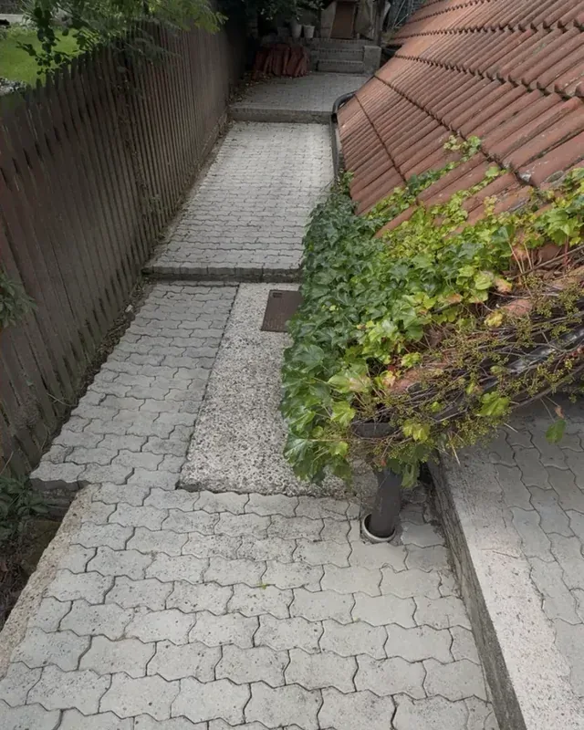 Vyčištěná zámková dlažba chodníku po tlakovém čištění.
